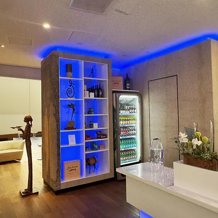 阿姆多姆广场酒店 - 仅限成人入住 酒店 林茨